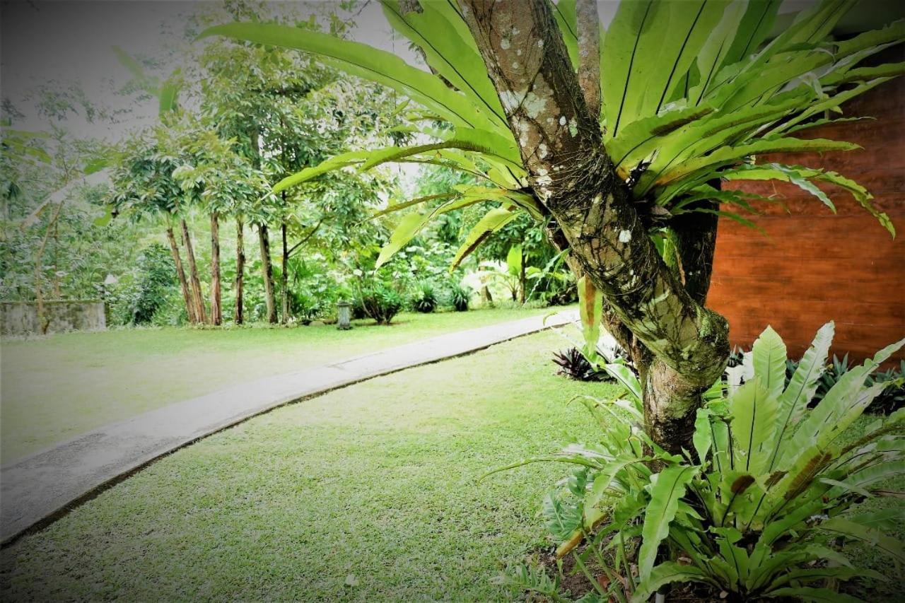Lodge Kendi Banyuwangi (East Java)
